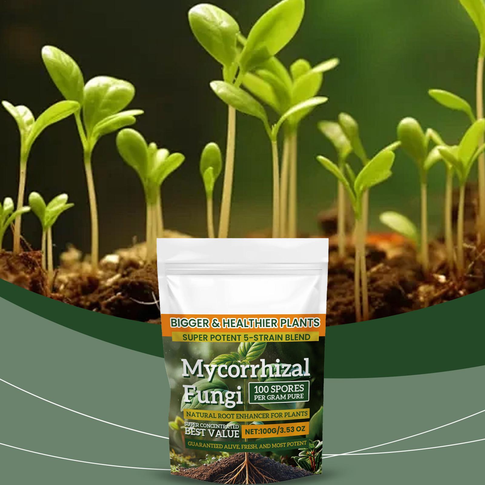 100g Proszku Wzmacniającego Ko – Roots Nutrition & Fitness Inglewood Photos recenzja i cena
